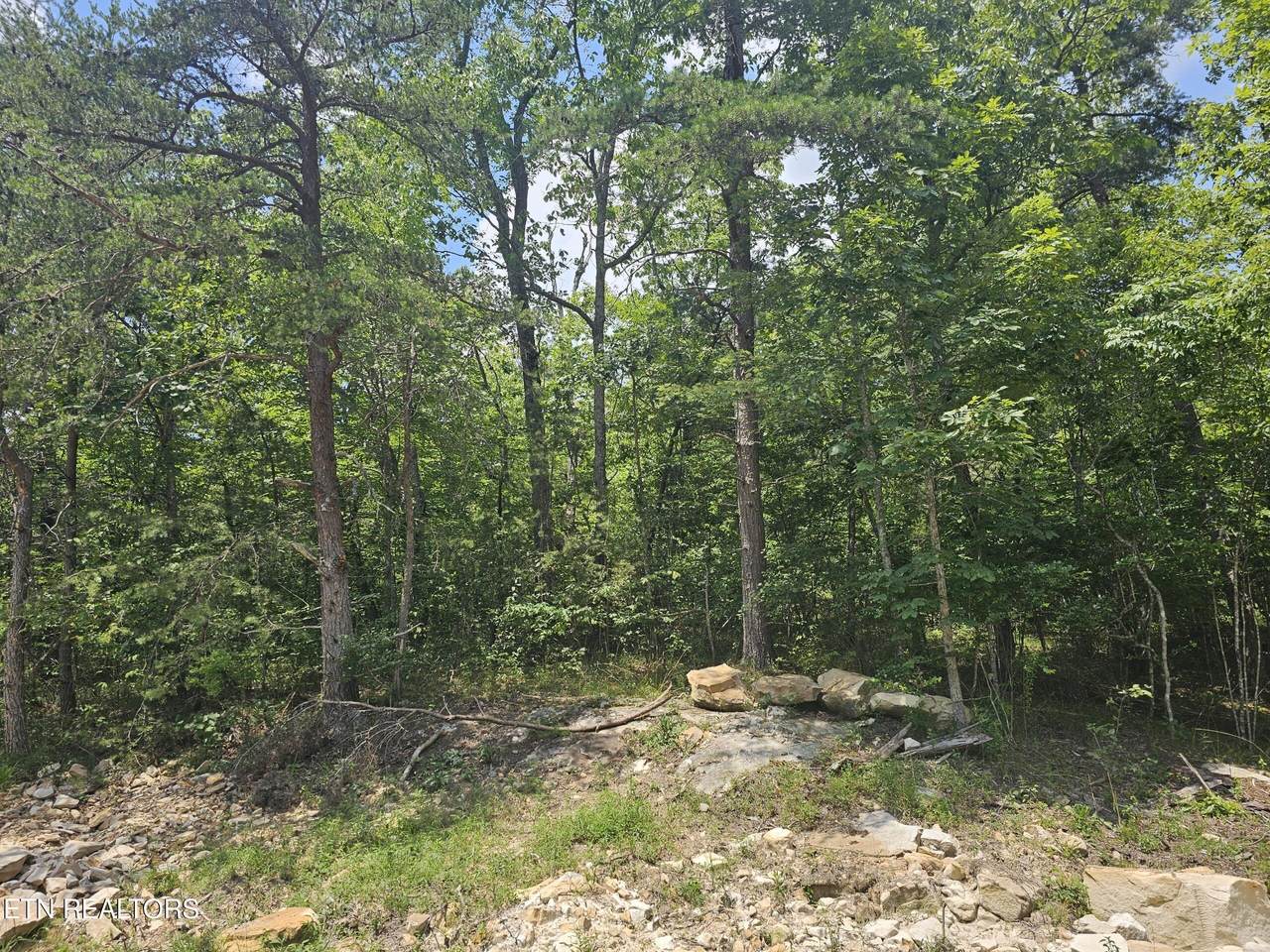 371 St. George Drive - Photo 1
