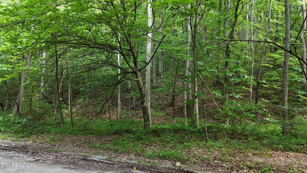 https://bt-photos.global.ssl.fastly.net/kaar/1280_boomver_1_1306580-2.jpg