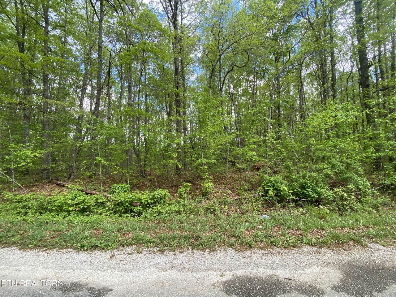 5054 Crazy Horse Drive - Photo 1