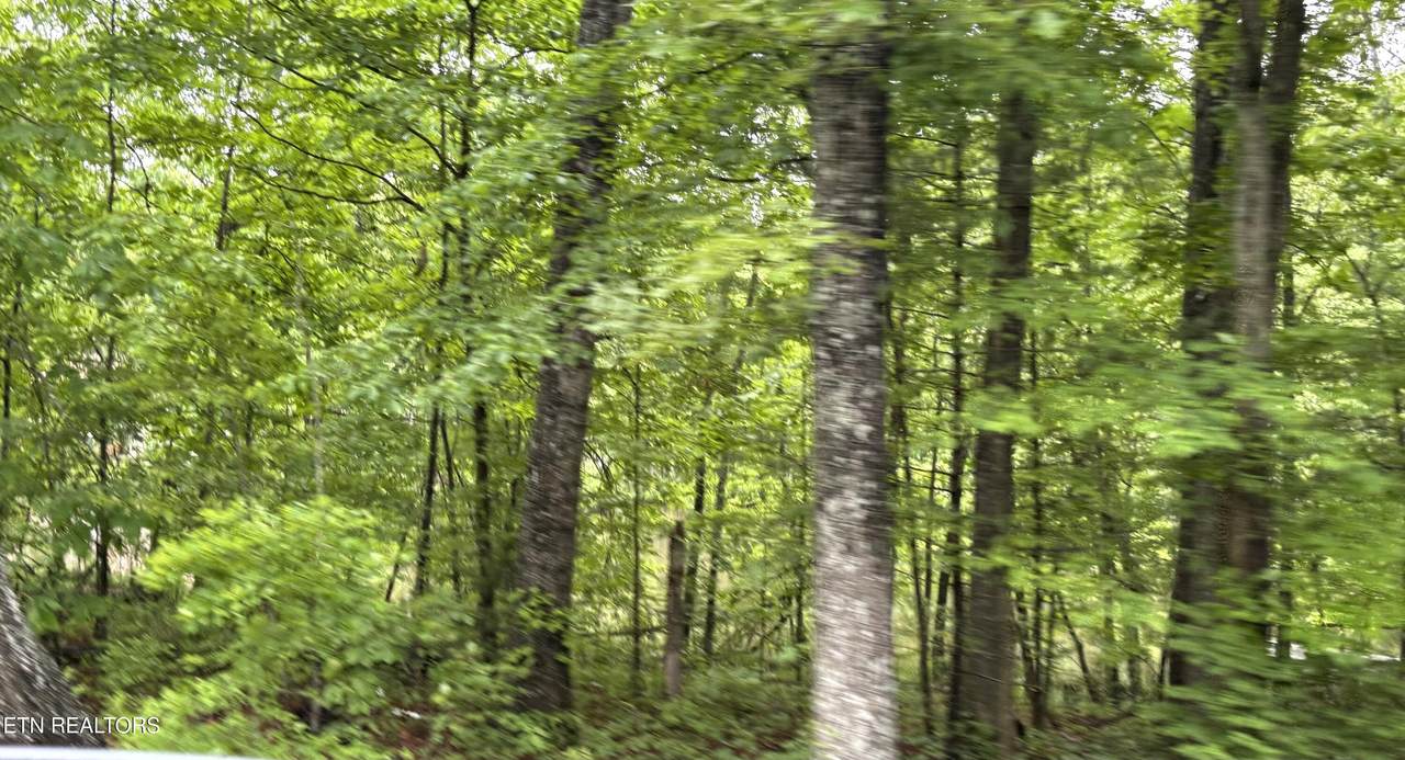 5002 Crazy Horse Drive - Photo 1