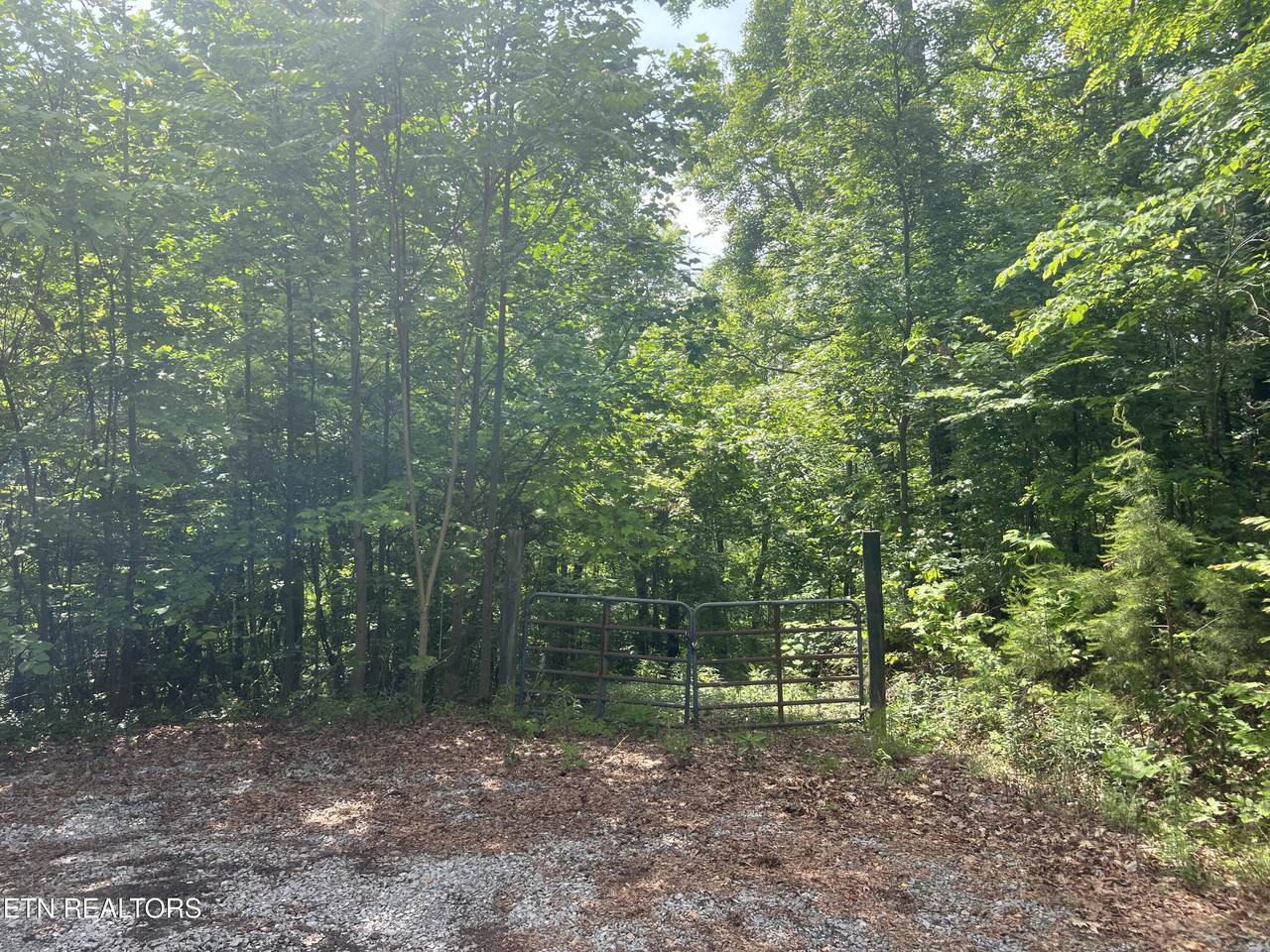  Lot 240-242 Laurel Mountain Rd - Photo 1