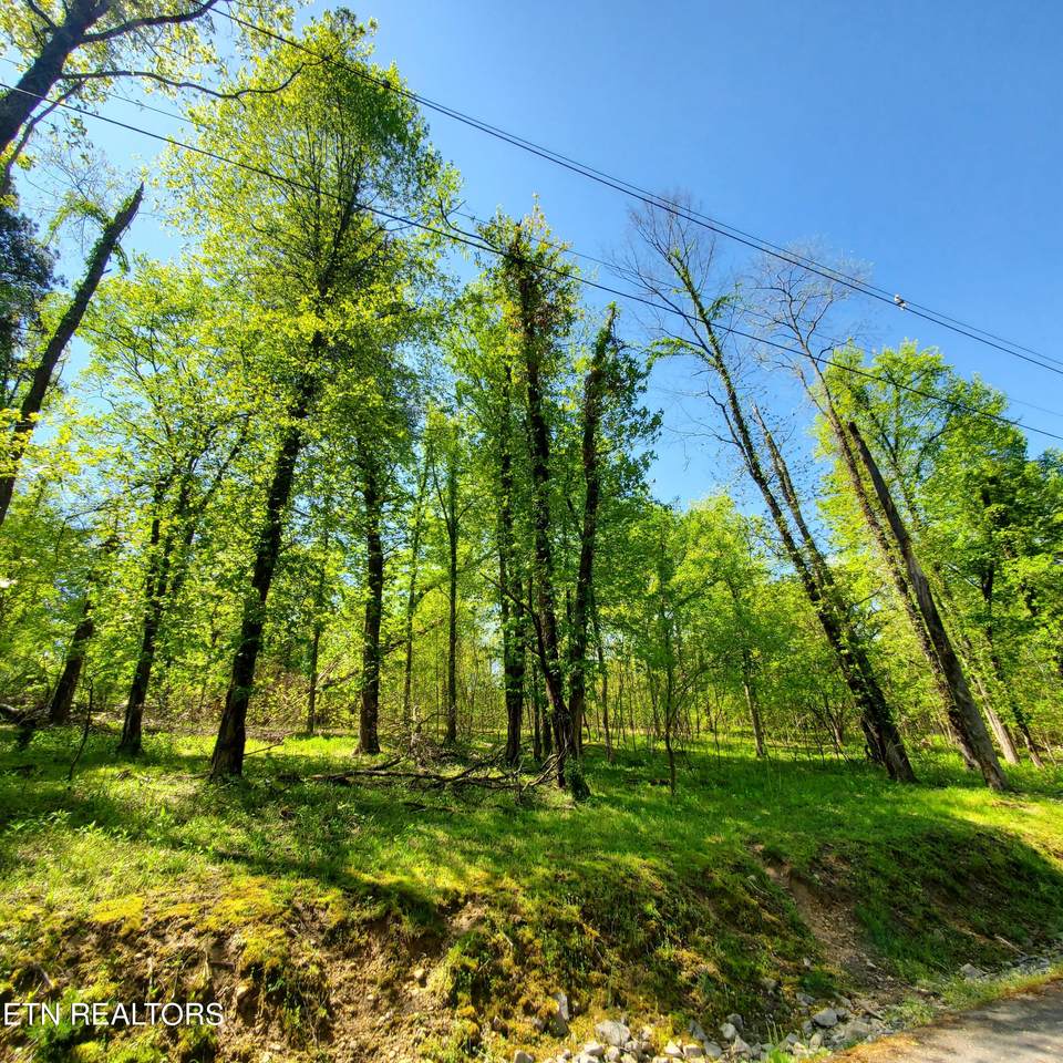 1603 Sequoyah Drive - Photo 1