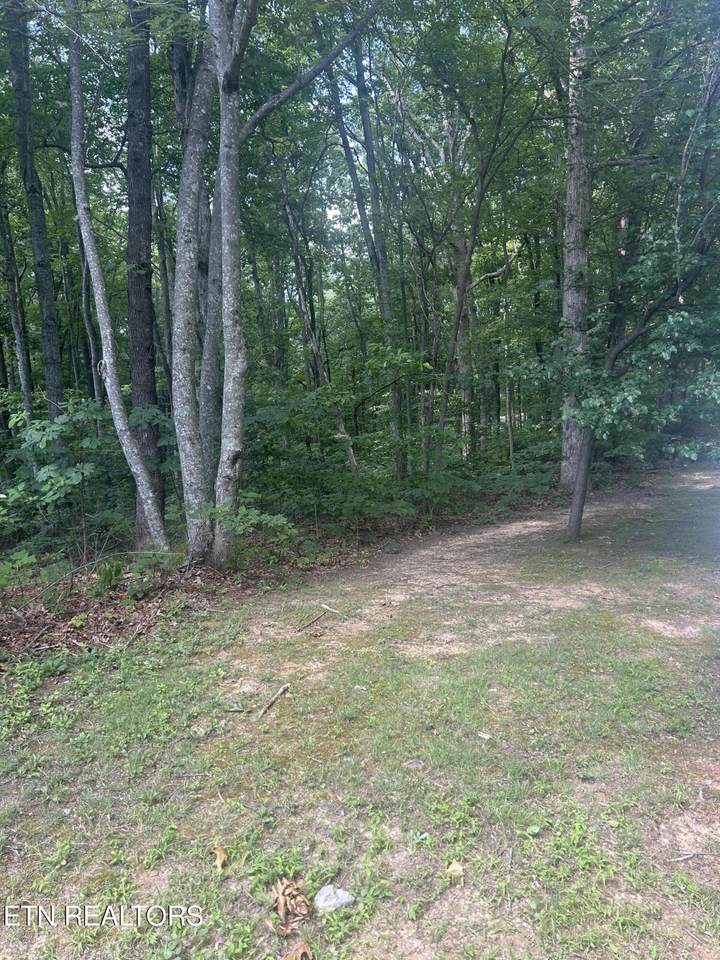 0 Huckleberry Drive - Photo 1