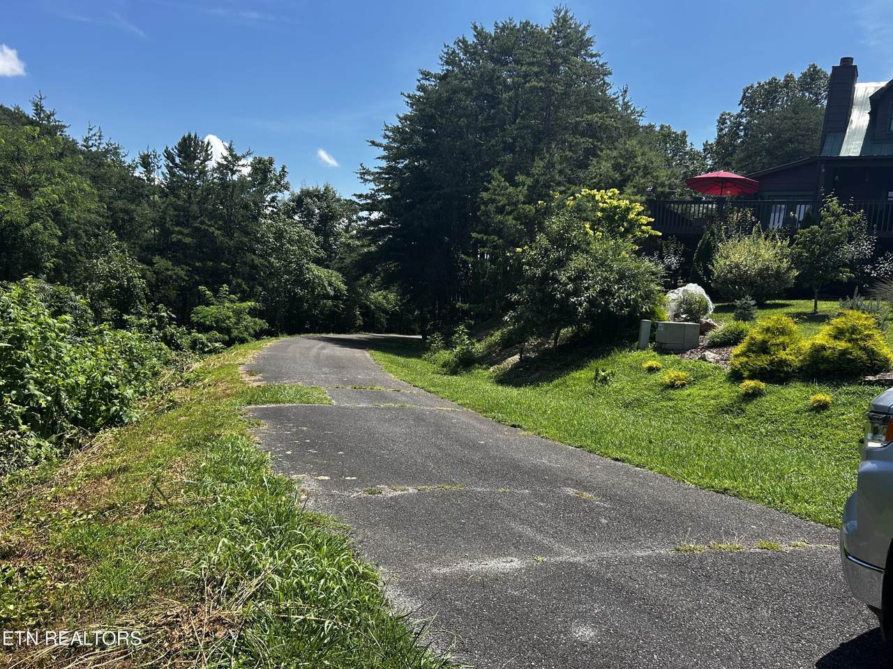 Highlands Bluff Rd - Photo 1