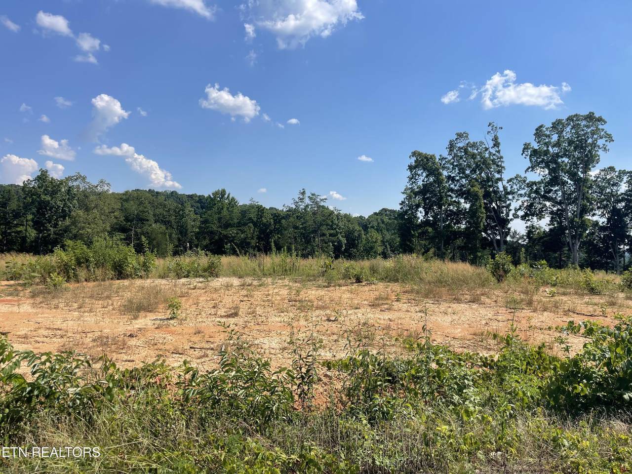 Lot 20 Laura Boling Loop Rd - Photo 1