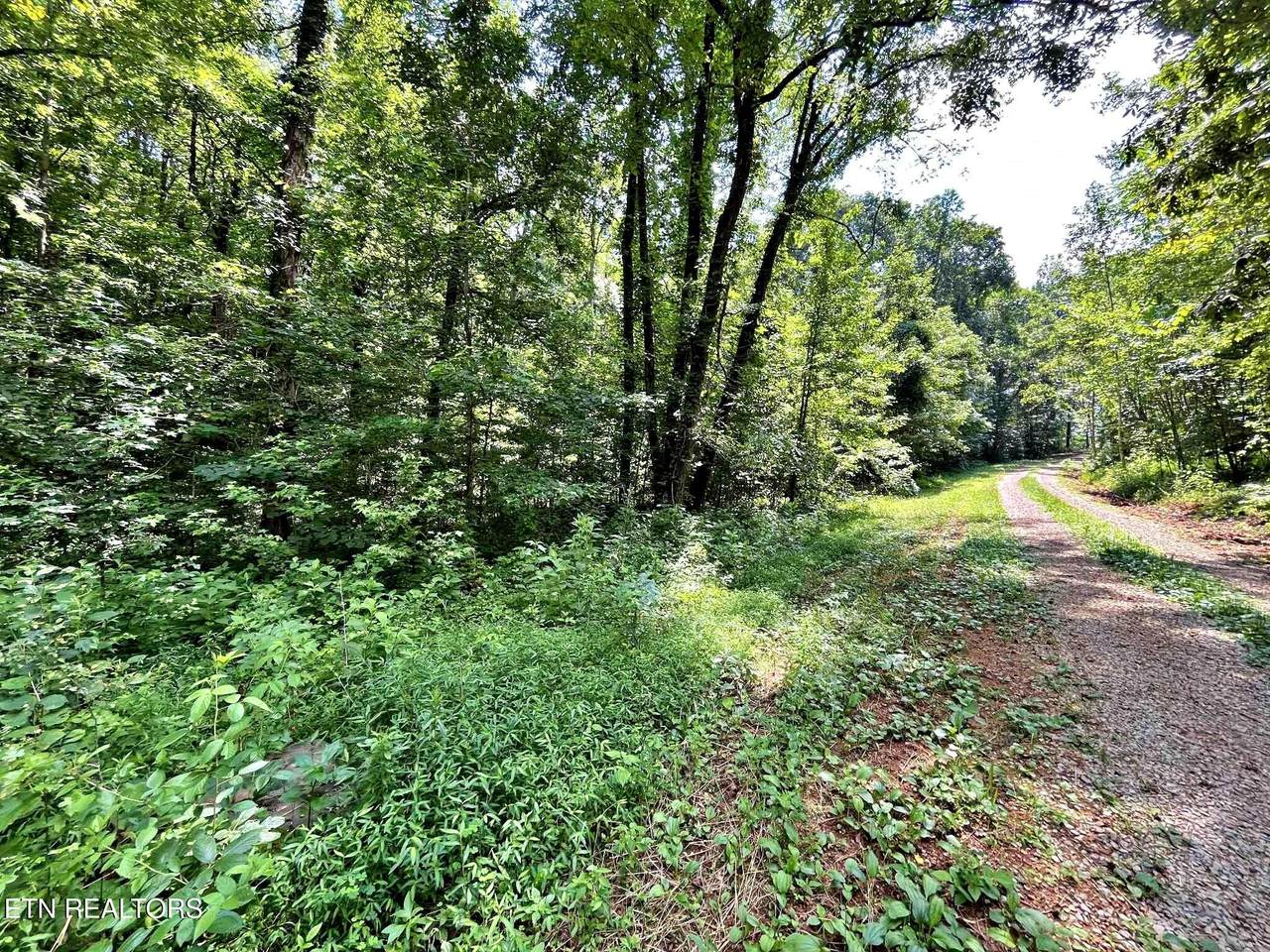 Lot 6 Raby Hollow Road - Photo 1