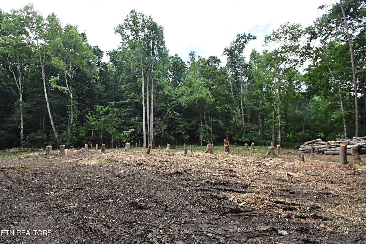 0 Early Rd - Photo 1