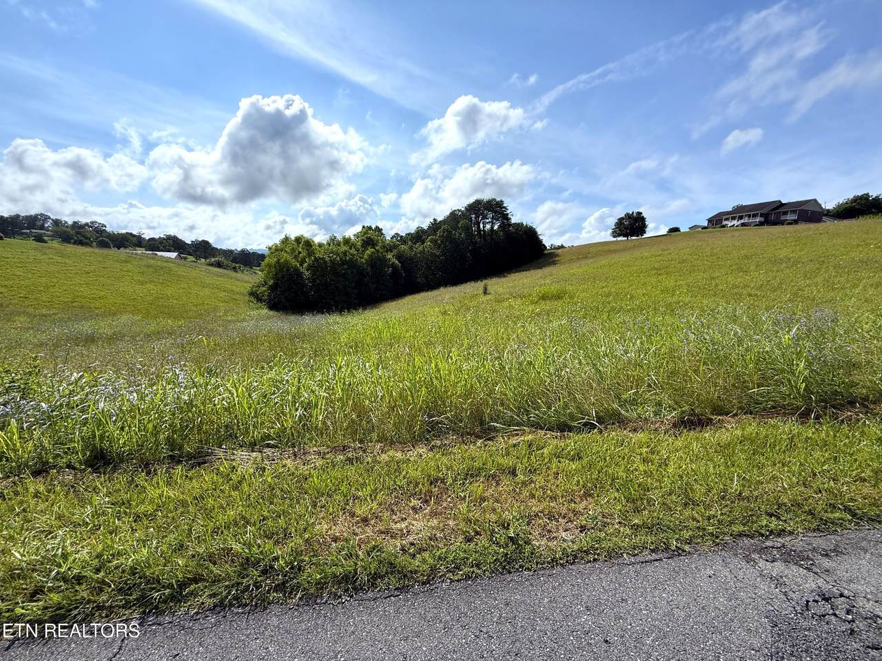 Lots 17-18 English Mtn Rd - Photo 1