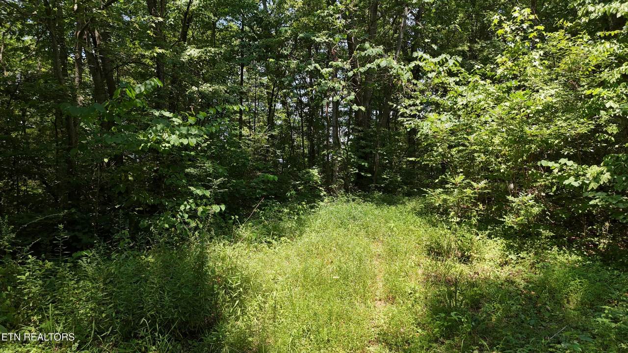 000 Chestuee Drive - Photo 1