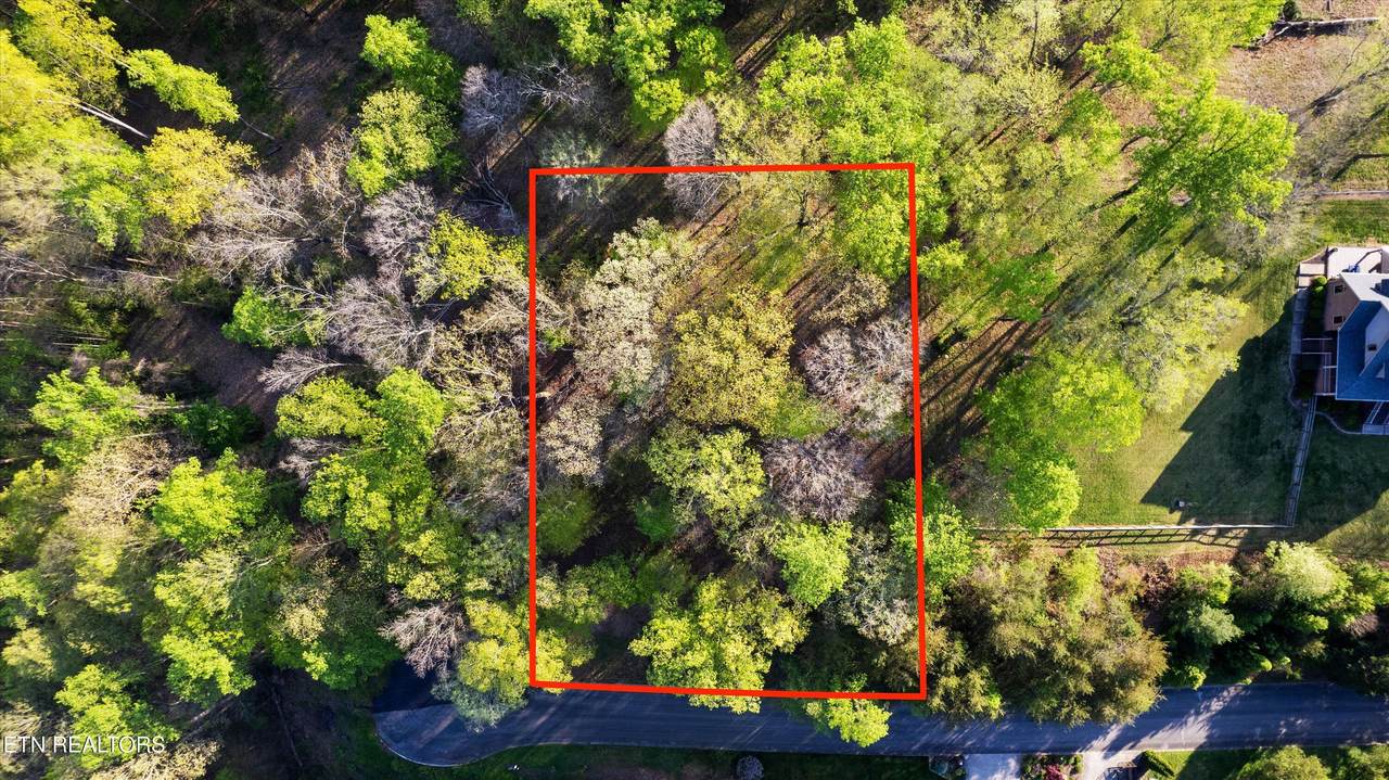 Lot 39 Apple Tree Drive - Photo 1