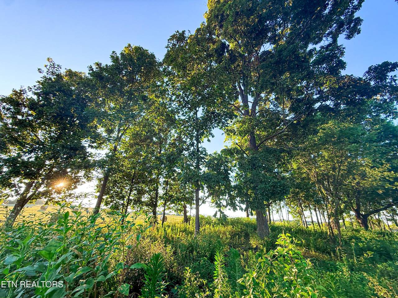 https://bt-photos.global.ssl.fastly.net/kaar/1280_boomver_1_1307911-2.jpg