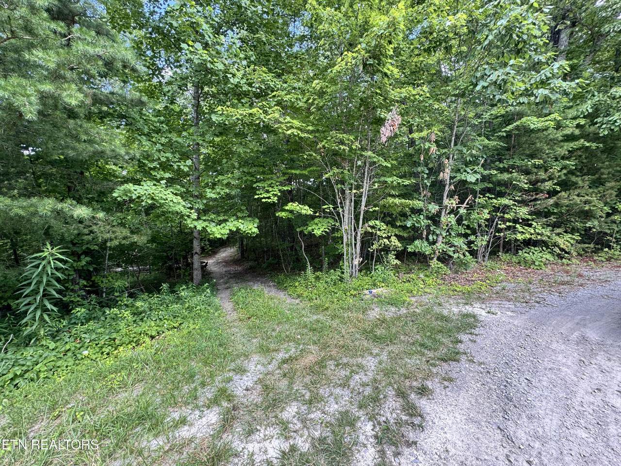  E Loomis Rd - Photo 1