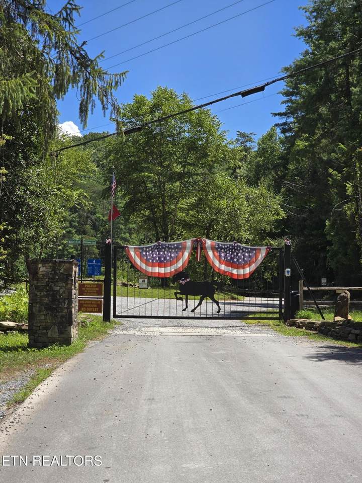  Overlook View Rd - Photo 1