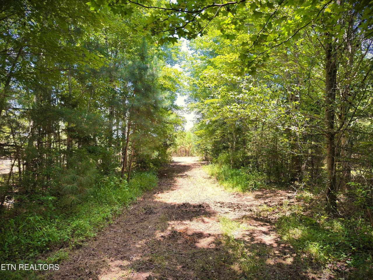  Marcrom Rd - Photo 1