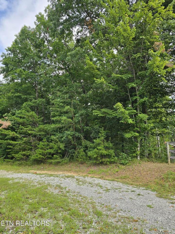 lot 244 Walking Horse Drive - Photo 1