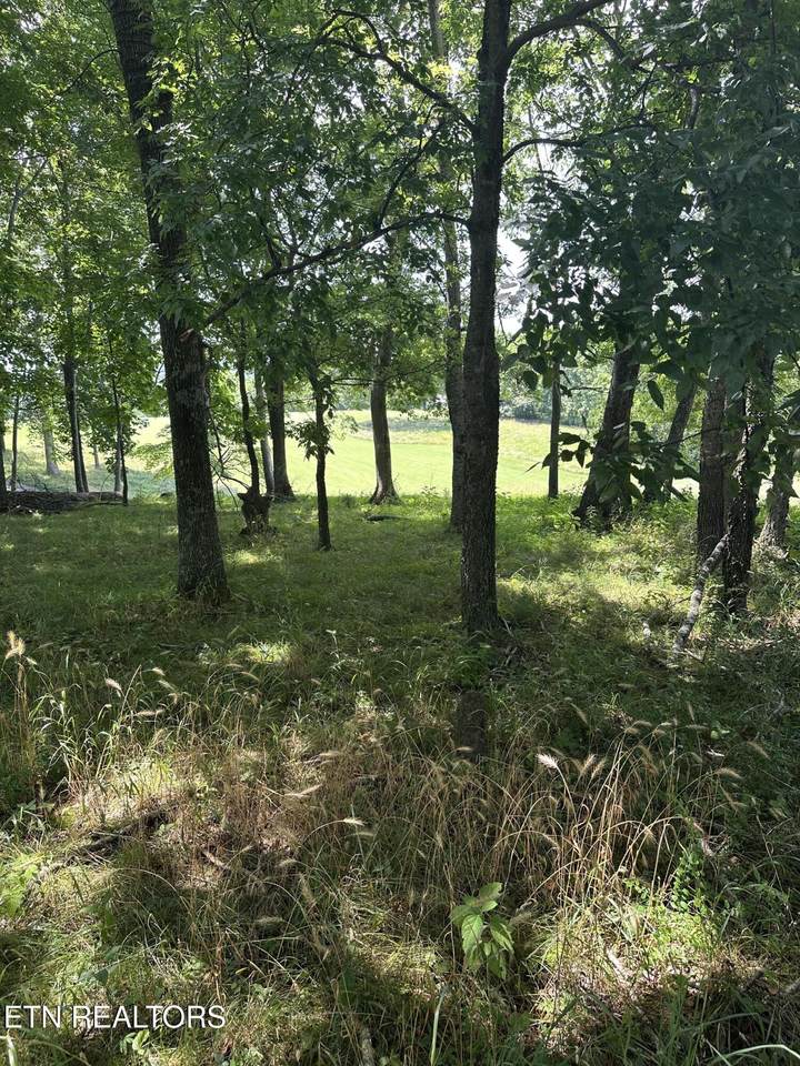  Walelu Trail Tr - Photo 1