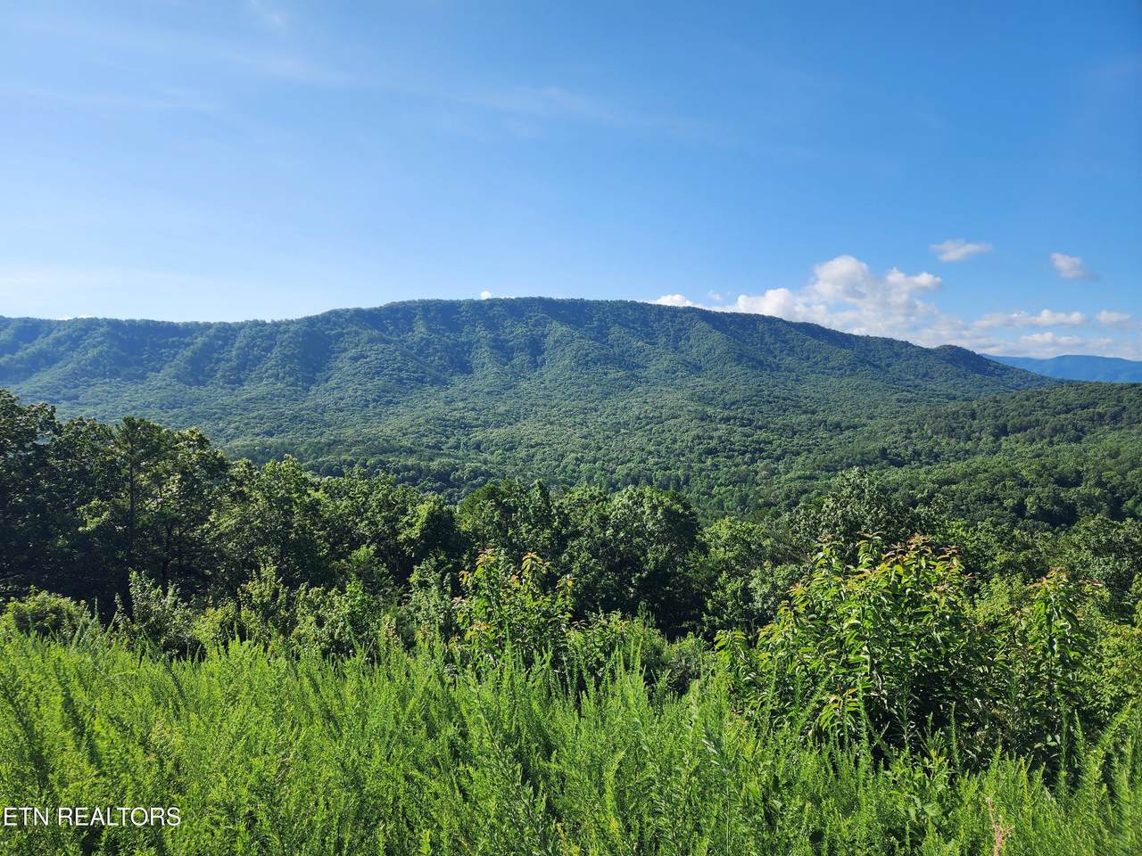 5027 Allegheny Cove Way - Photo 1