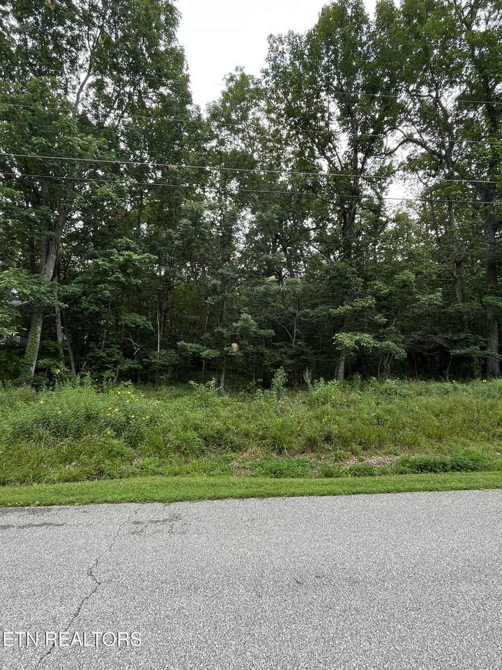 155 Canterbury Dr. Drive - Photo 1