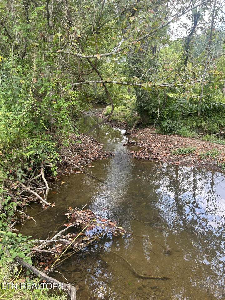 6116 Paint Rock Rd - Photo 1