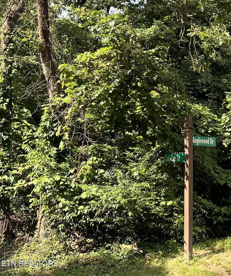 102 Lakeside Drive - Photo 1