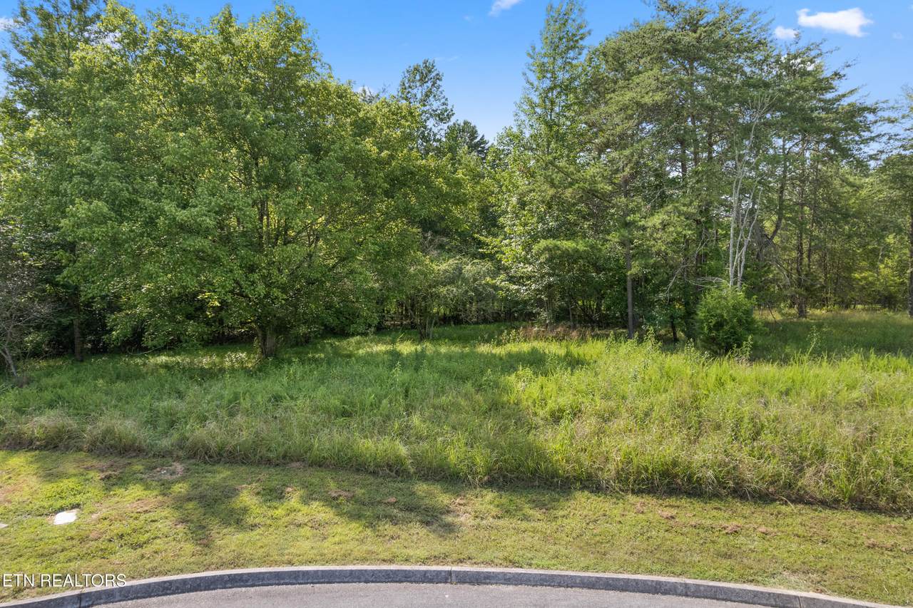  Lot 77 Creekside Drive - Photo 1