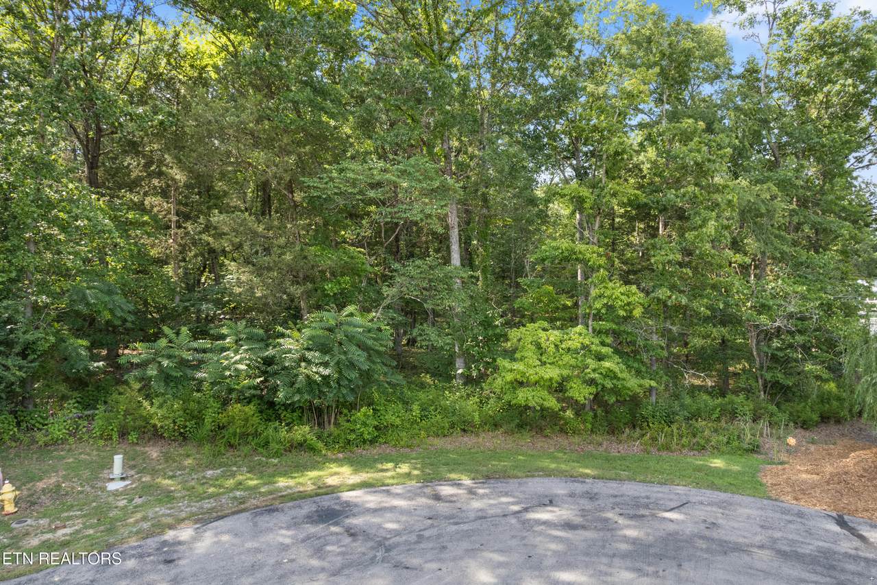  Lot 97 Bay Shore Drive - Photo 1