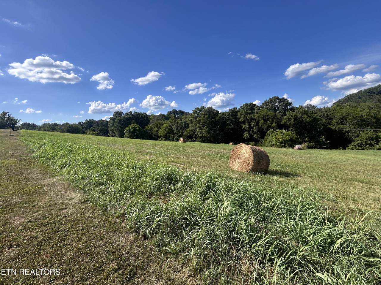 Lot 8C Park View Drive - Photo 1