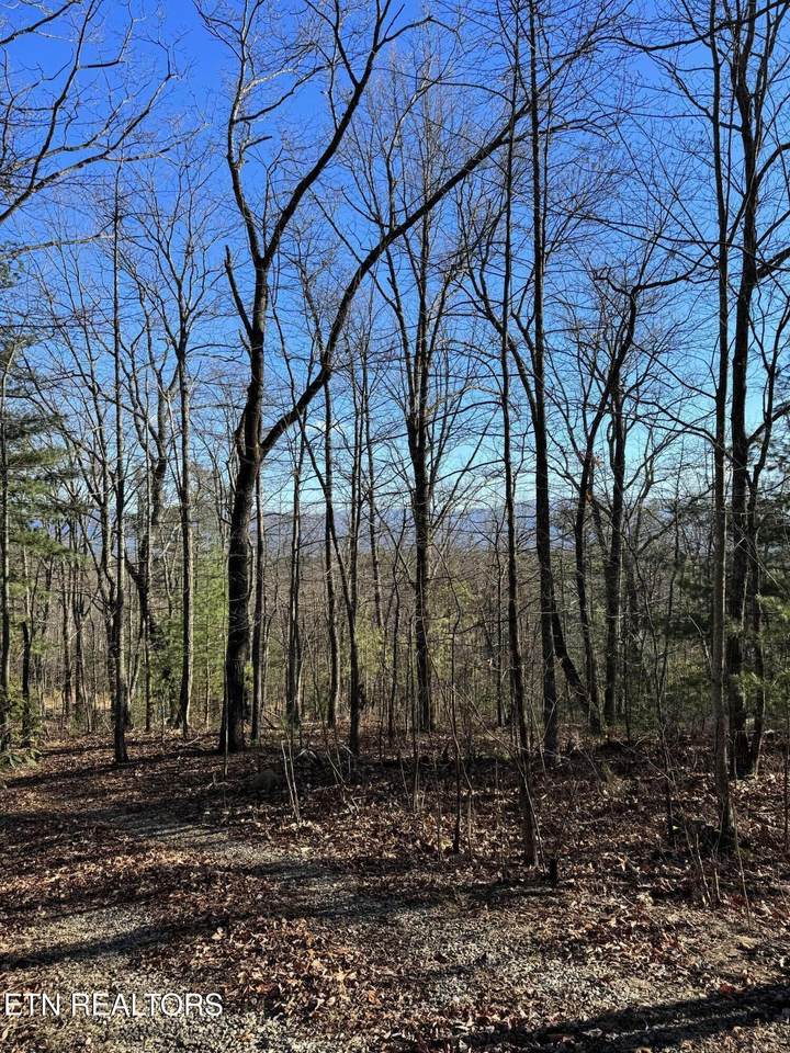 6838 Flats Rd - Photo 1