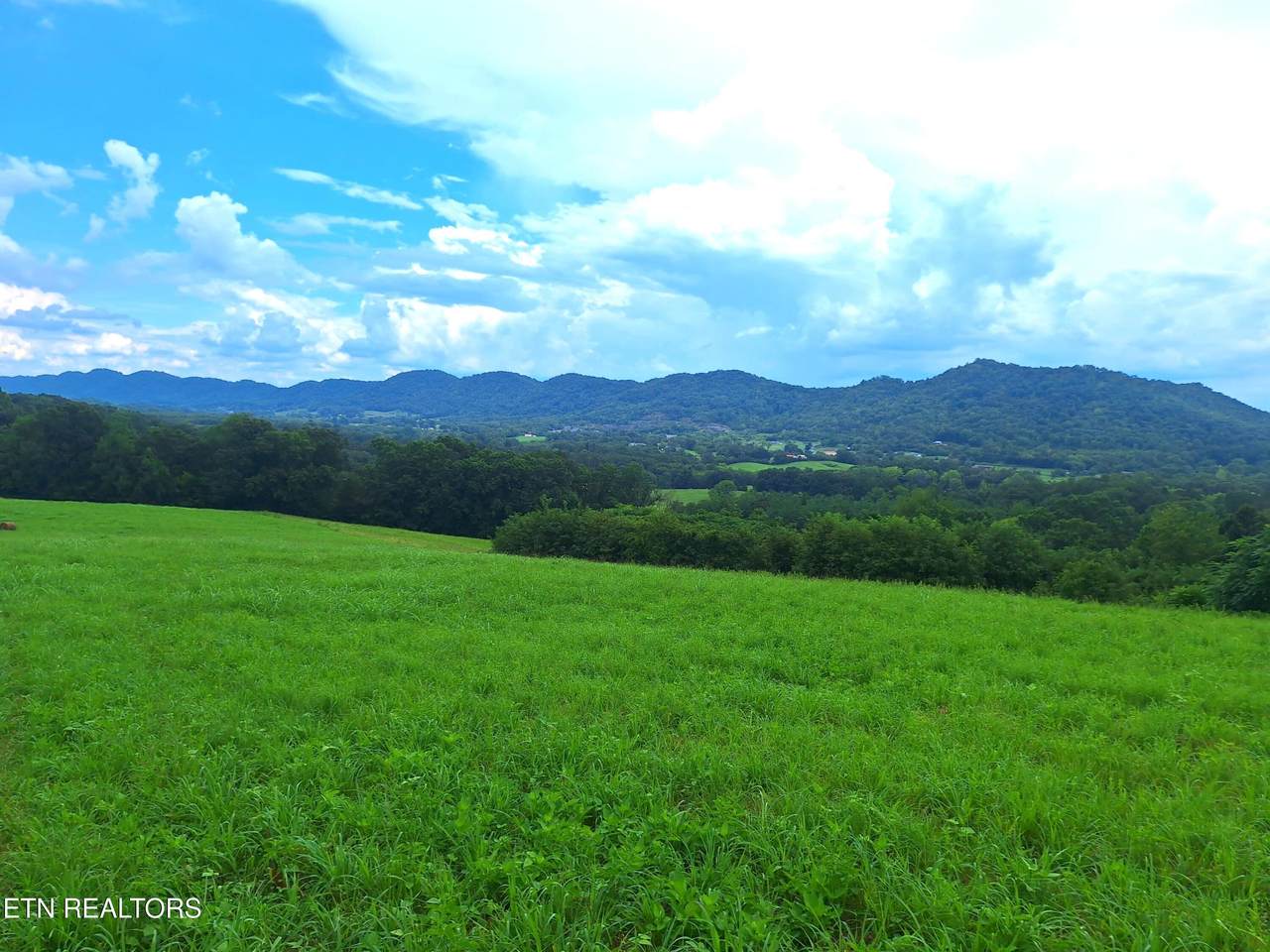  Race Track Rd - Photo 1