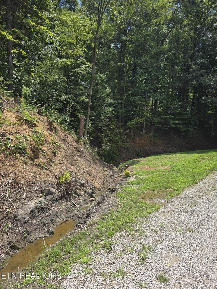  Ashley Lane - Photo 1