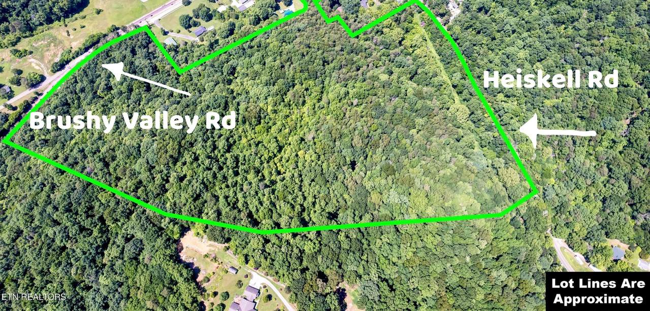 0 Brushy Valley Drive - Photo 1