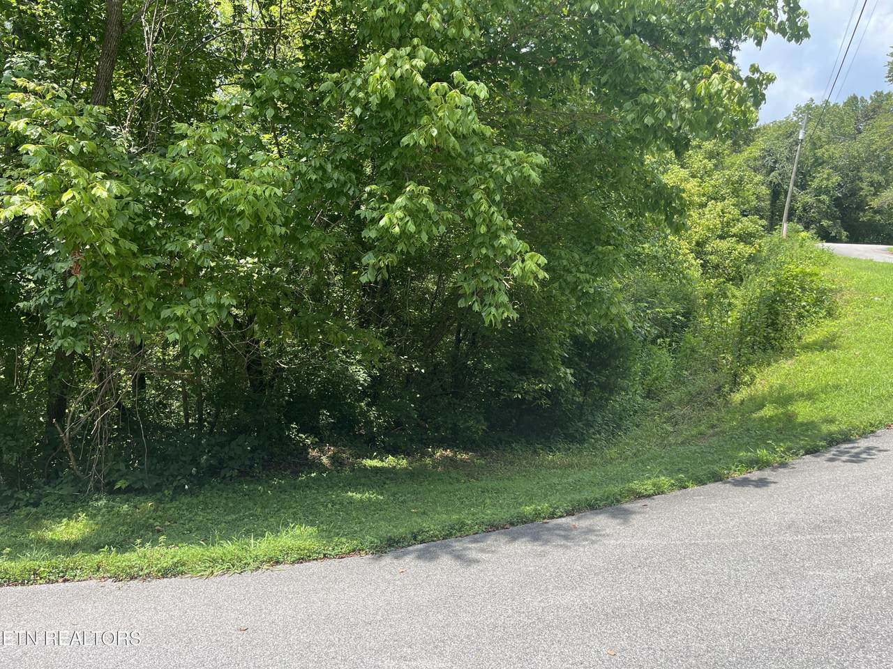 Lot 8 Indian Gap Circle - Photo 1