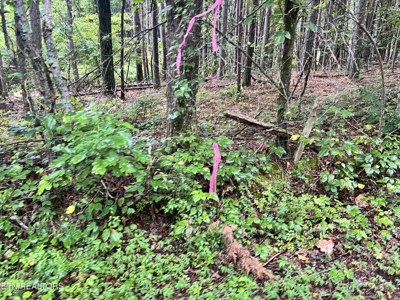  Lot 4 Prigmore Ridge Rd - Photo 1