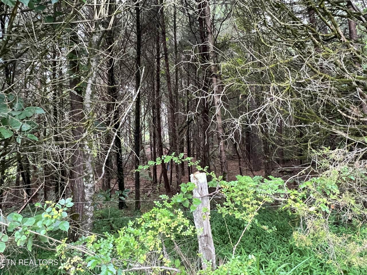  Lot 6 Willie Prigmore Rd - Photo 1
