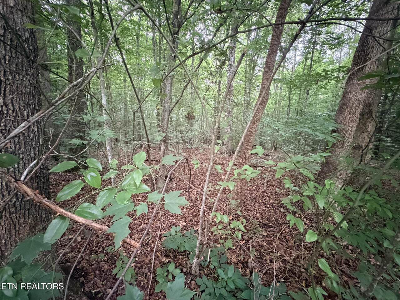 https://bt-photos.global.ssl.fastly.net/kaar/1280_boomver_1_1310679-2.jpg