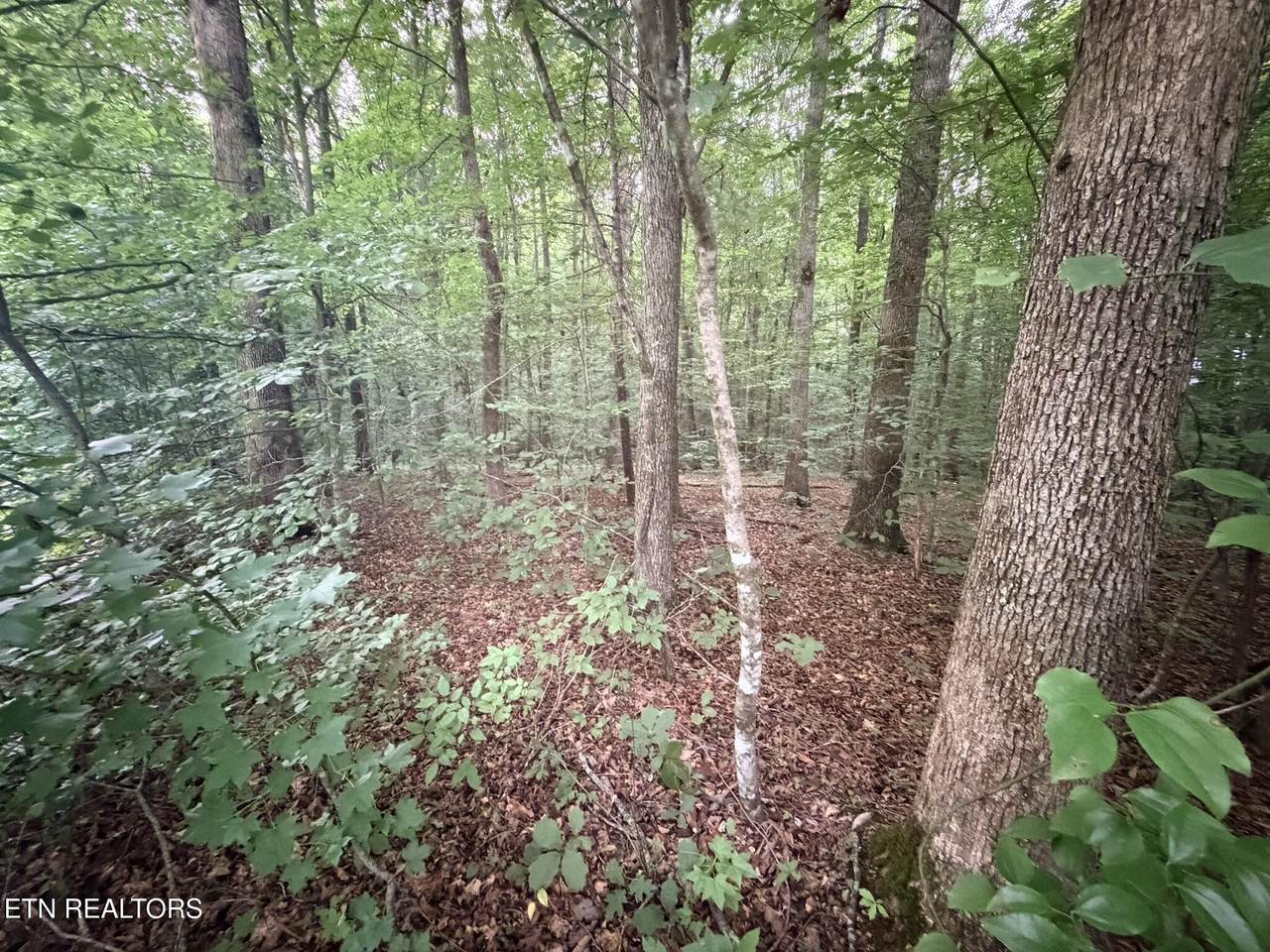 https://bt-photos.global.ssl.fastly.net/kaar/1280_boomver_1_1310679-2.jpg
