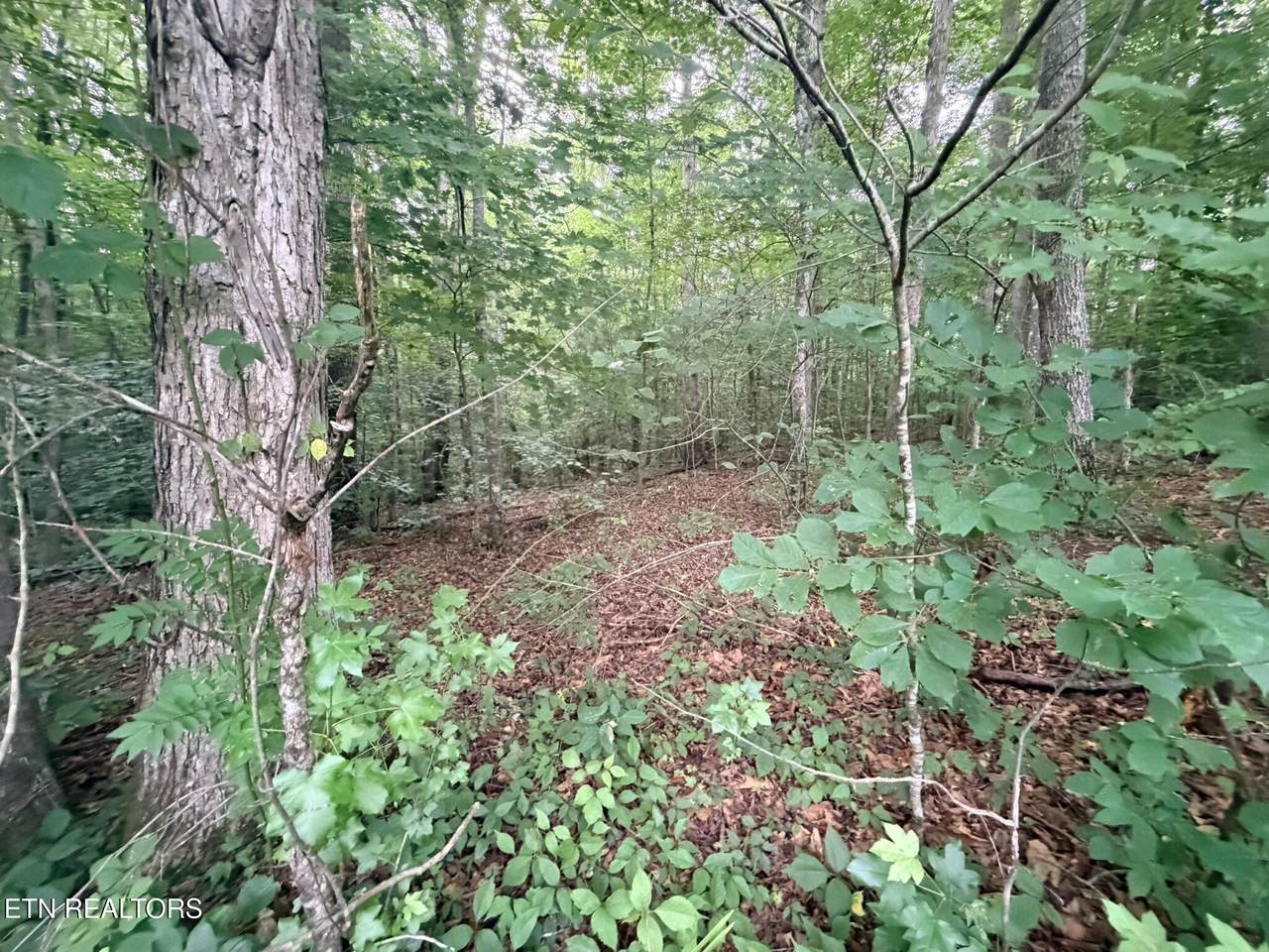 https://bt-photos.global.ssl.fastly.net/kaar/1280_boomver_1_1310682-2.jpg
