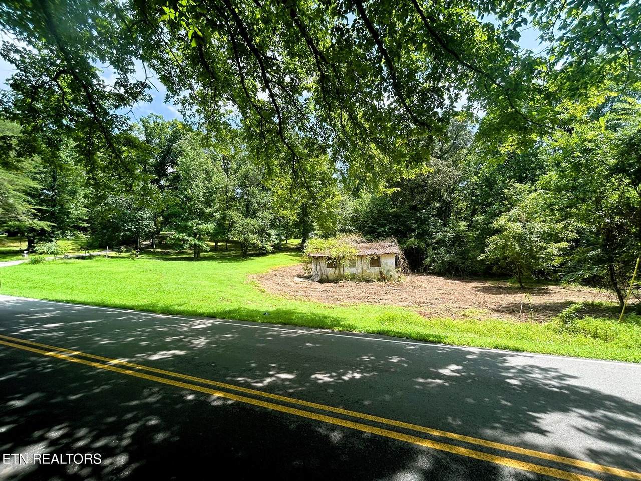 Tract 10 Pleasant Hill Road - Photo 1