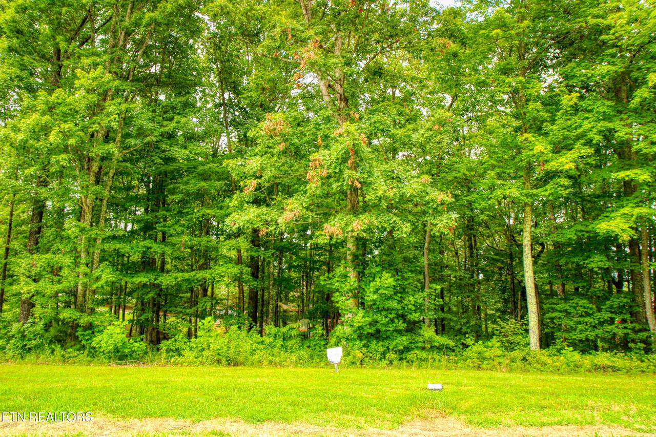 Lot 47 Grandview Way - Photo 1