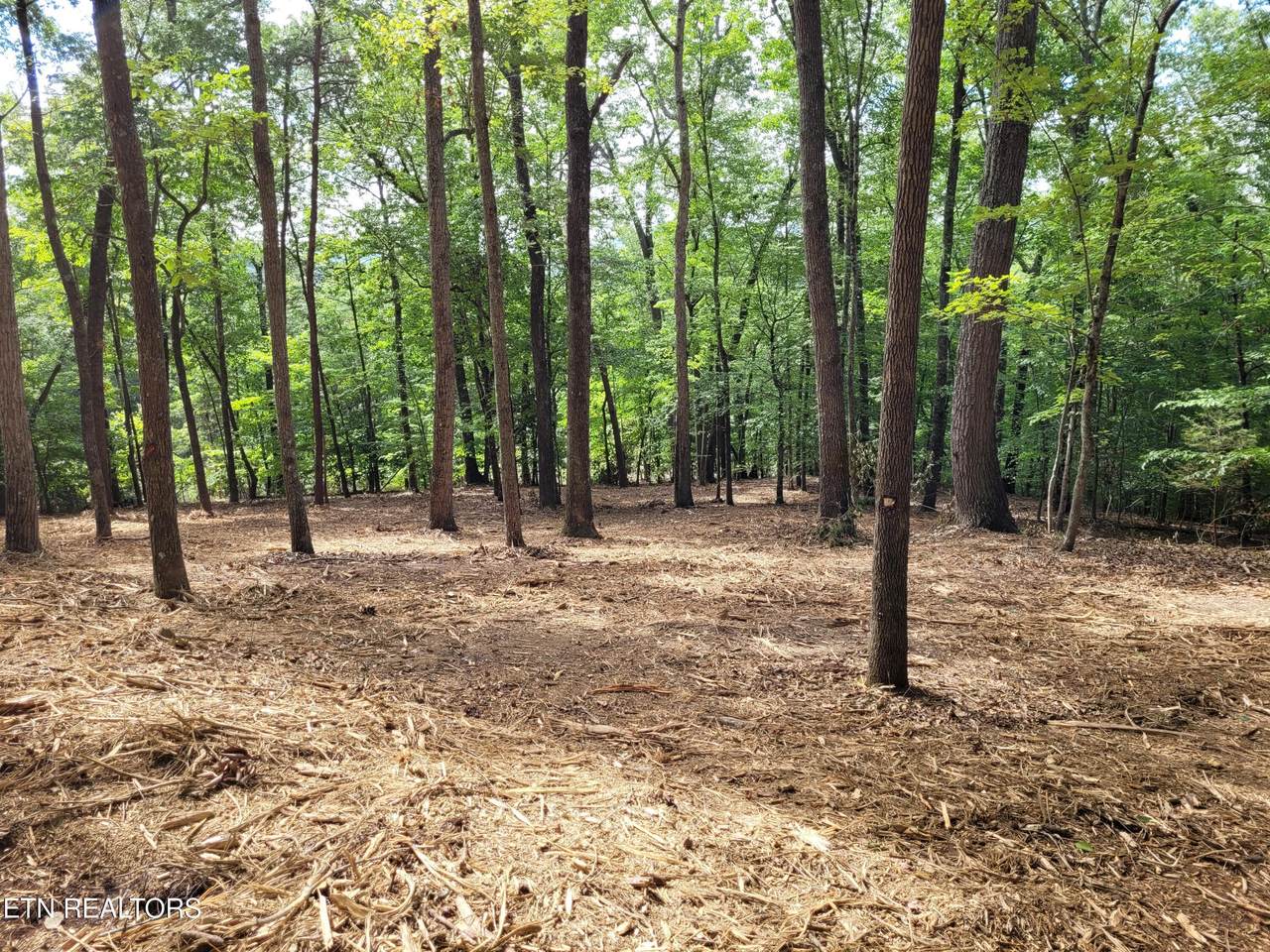  Lot 146 & 147 Lakeview Drive - Photo 1