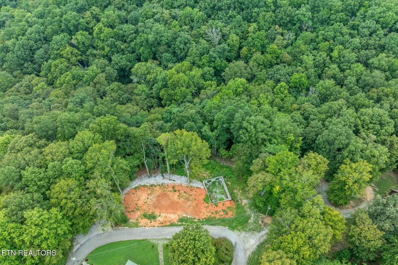 Lots 29/30 Osprey Lane - Photo 1