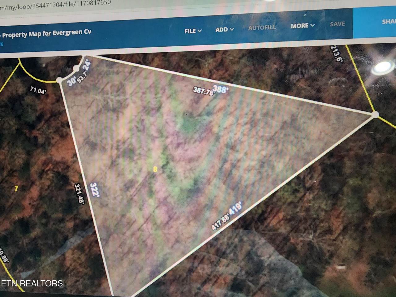  Evergreen Cove - Photo 1