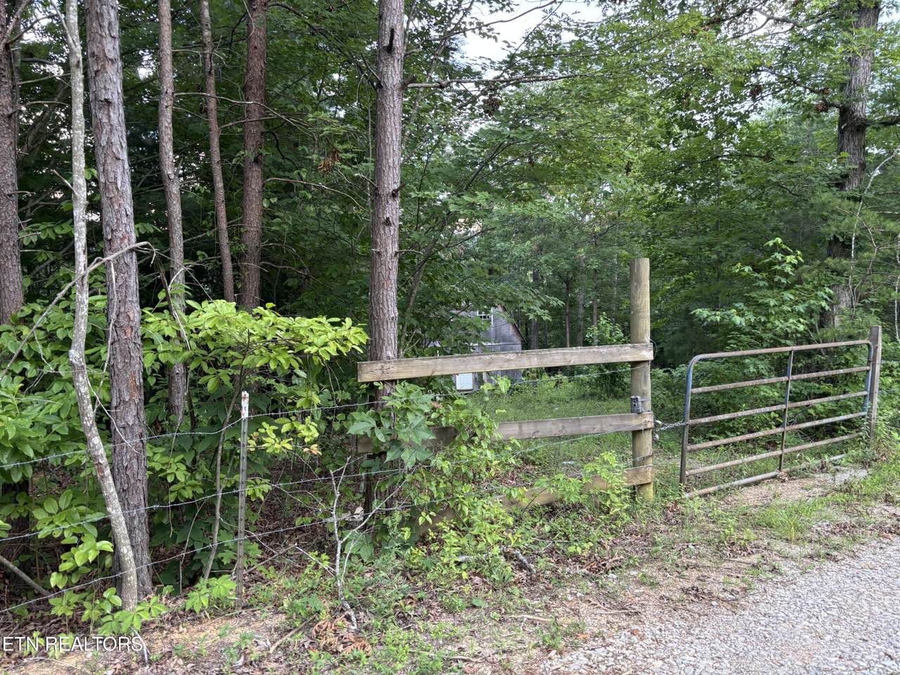  Patton Lane - Photo 1