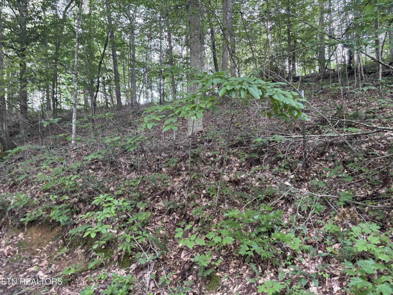  Eagle Ridge Pvt Rd - Photo 1