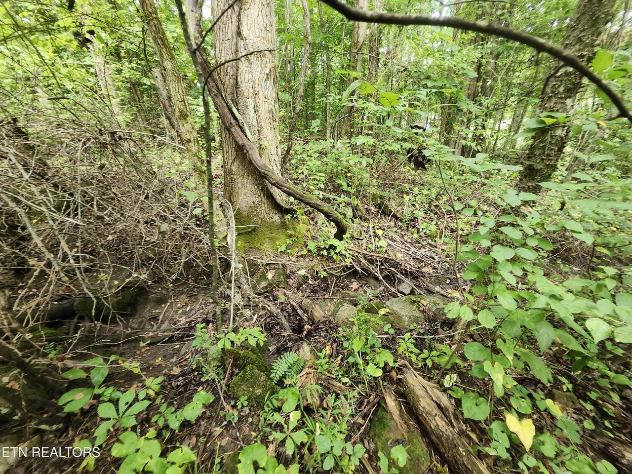 Lot 1 Timber Lake Drive - Photo 1