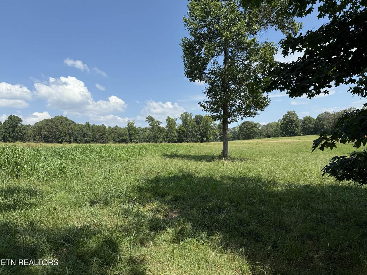 121 Padstow Lane - Photo 1