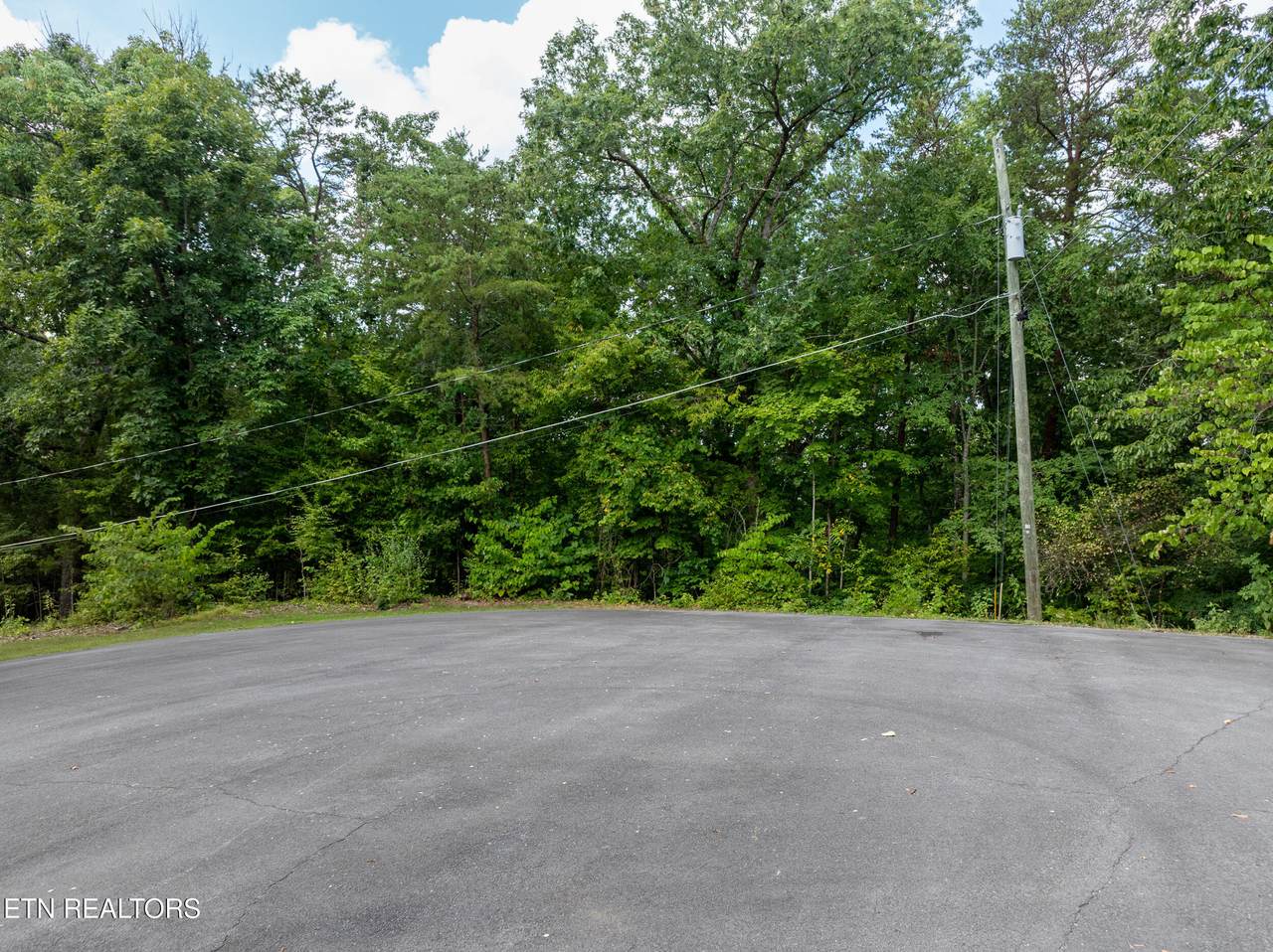 Lot 56 Blue Byrd Lane - Photo 1