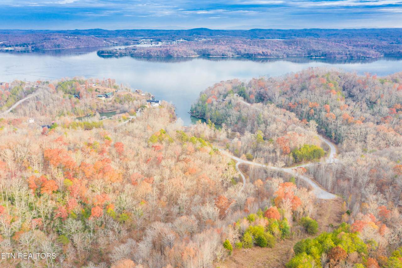  Bluegreen Way - Photo 1