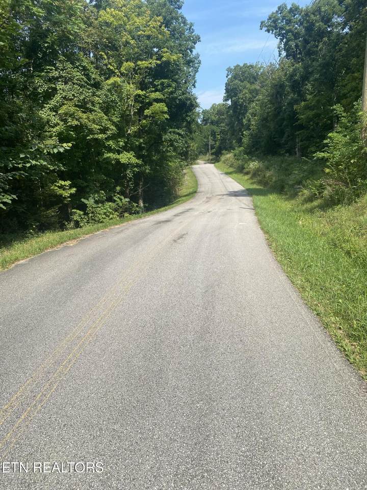 44 acres Sheep Bluff Rd - Photo 1