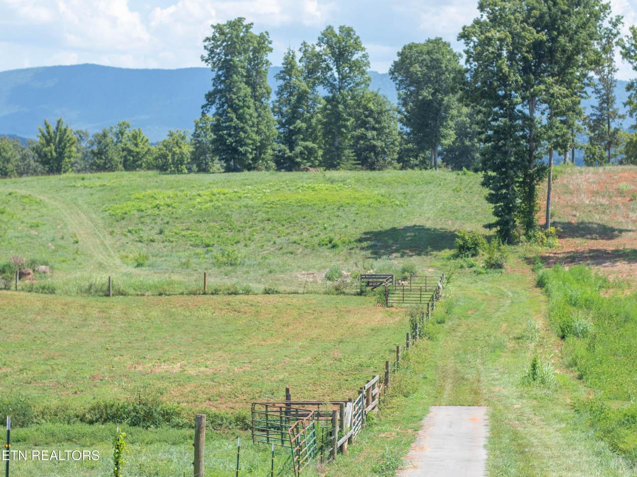  Tract 2 Hutton Ridge Rd - Photo 1